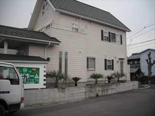 左からココスヤシ、ソテツを交互に植えています。ヤシの木系の南国をイメージした庭になりました。